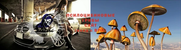мескалин Богородск