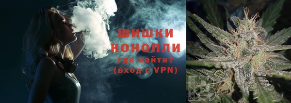 PSILOCYBIN Богородицк