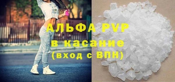 PSILOCYBIN Богородицк