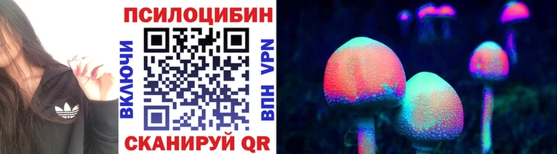 Псилоцибиновые грибы Psilocybine cubensis  Дмитровск 